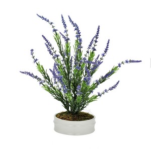Lavender Bush in Small White Bowl