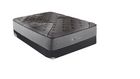 Black Ice Luxury Plush Twin Set