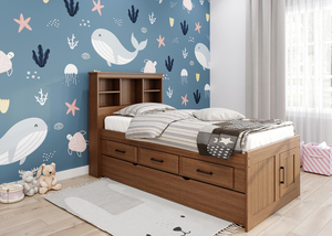 Walker Twin Bookcase Bed
