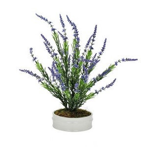 Lavender Bush in Small White Bowl