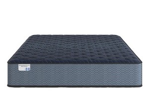 Fairborne Luxury Firm Full Mattress