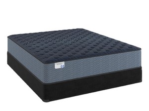 Fairborne Luxury Firm Twin Set